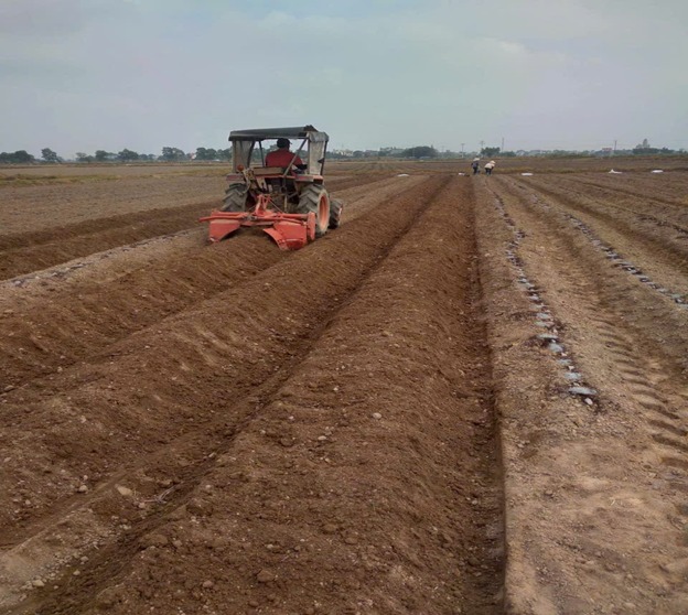 HỢP TÁC XÃ DỊCH VỤ NÔNG NGHIỆP DIHO (VŨ THƯ)  ÁP DỤNG CƠ GIỚI HOÁ VÀO SẢN XUẤT