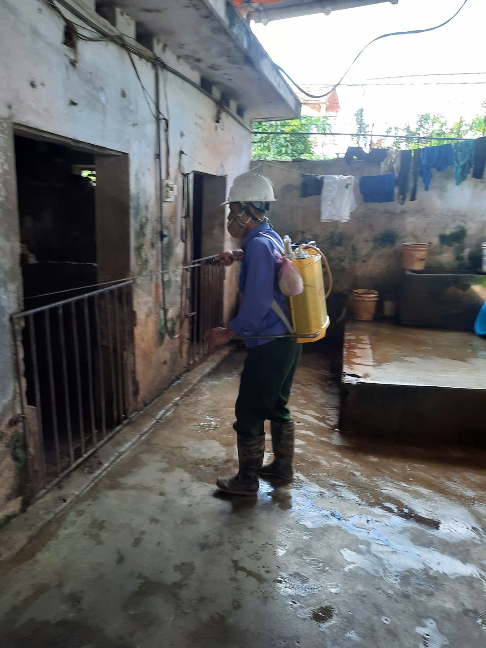 XÃ VŨ THƯ TRIỂN KHAI “THÁNG TỔNG VỆ SINH, KHỬ TRÙNG, TIÊU ĐỘC” PHÒNG CHỐNG DỊCH BỆNH GIA SÚC, GIA CẦM