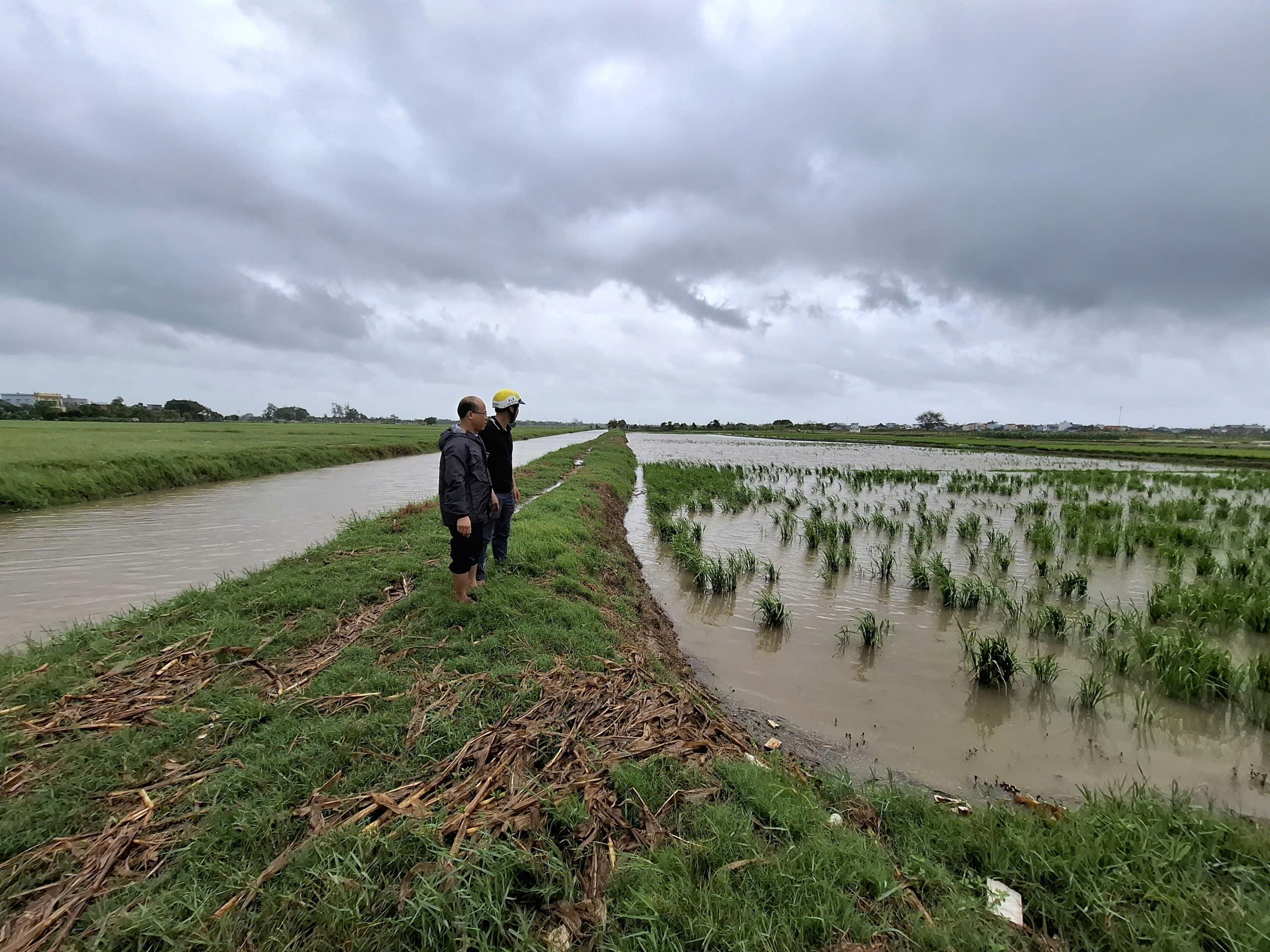 THIỆT HẠI 139,92 HA LÚA, 20 HA NGÔ VÀ 17 HA RAU MÀU DO BÃO SỐ 10 GÂY RA TRÊN ĐỊA BÀN XÃ VŨ THƯ