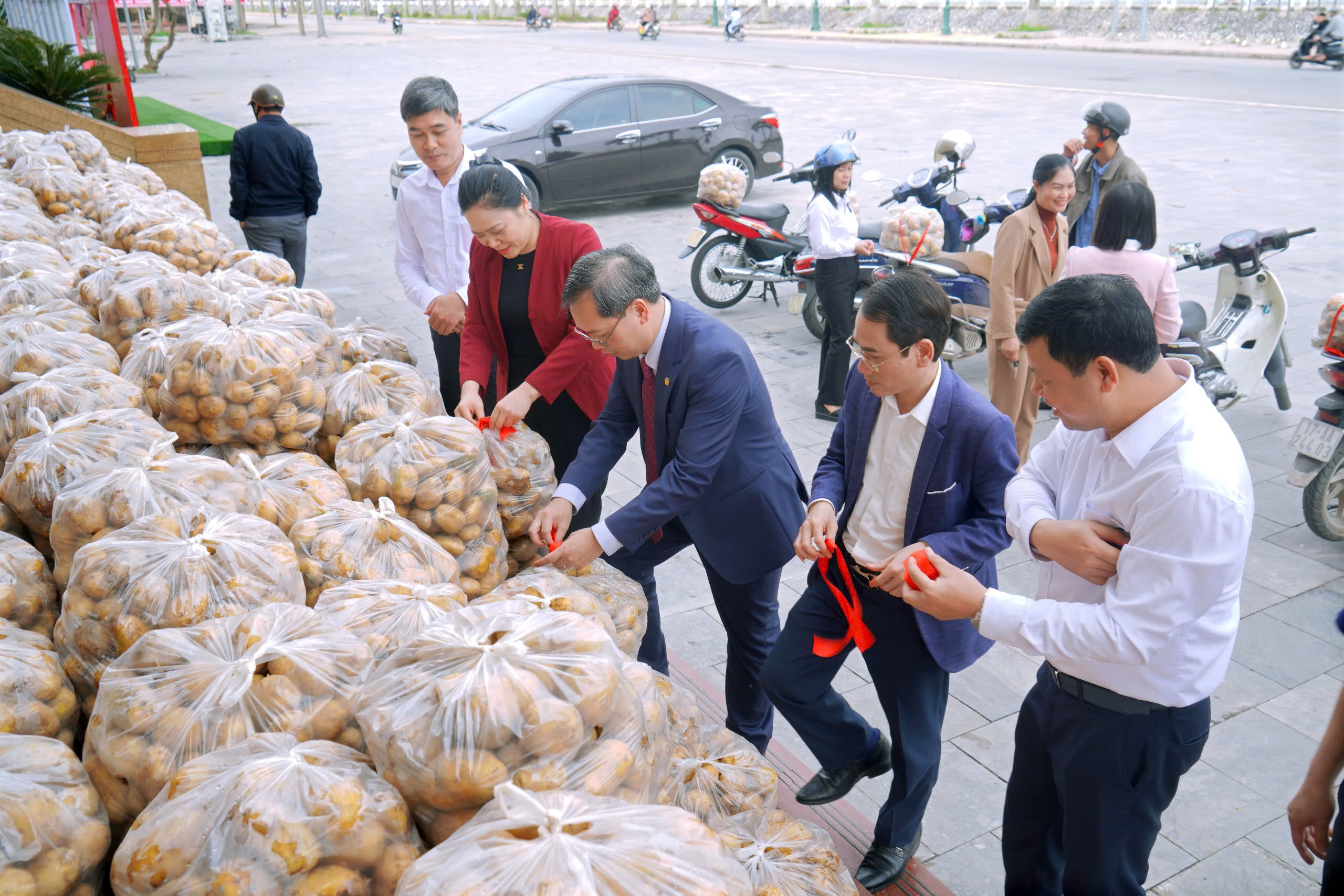 XÃ VŨ THƯ CHỦ ĐỘNG KẾT NỐI, THÚC ĐẨY TIÊU THỤ 4,5 TẤN KHOAI TÂY MARABEL VỤ ĐÔNG