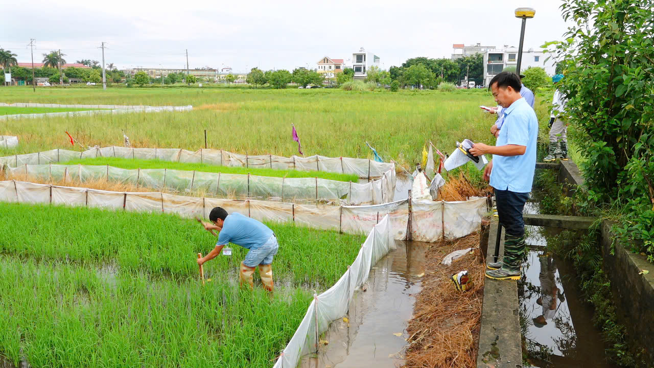 XÃ VŨ THƯ TỔ CHỨC CƯỠNG CHẾ THU HỒI ĐẤT THỰC HIỆN DỰ ÁN PHÁT TRIỂN NHÀ Ở THƯƠNG MẠI KHU DÂN CƯ AN PHÚ