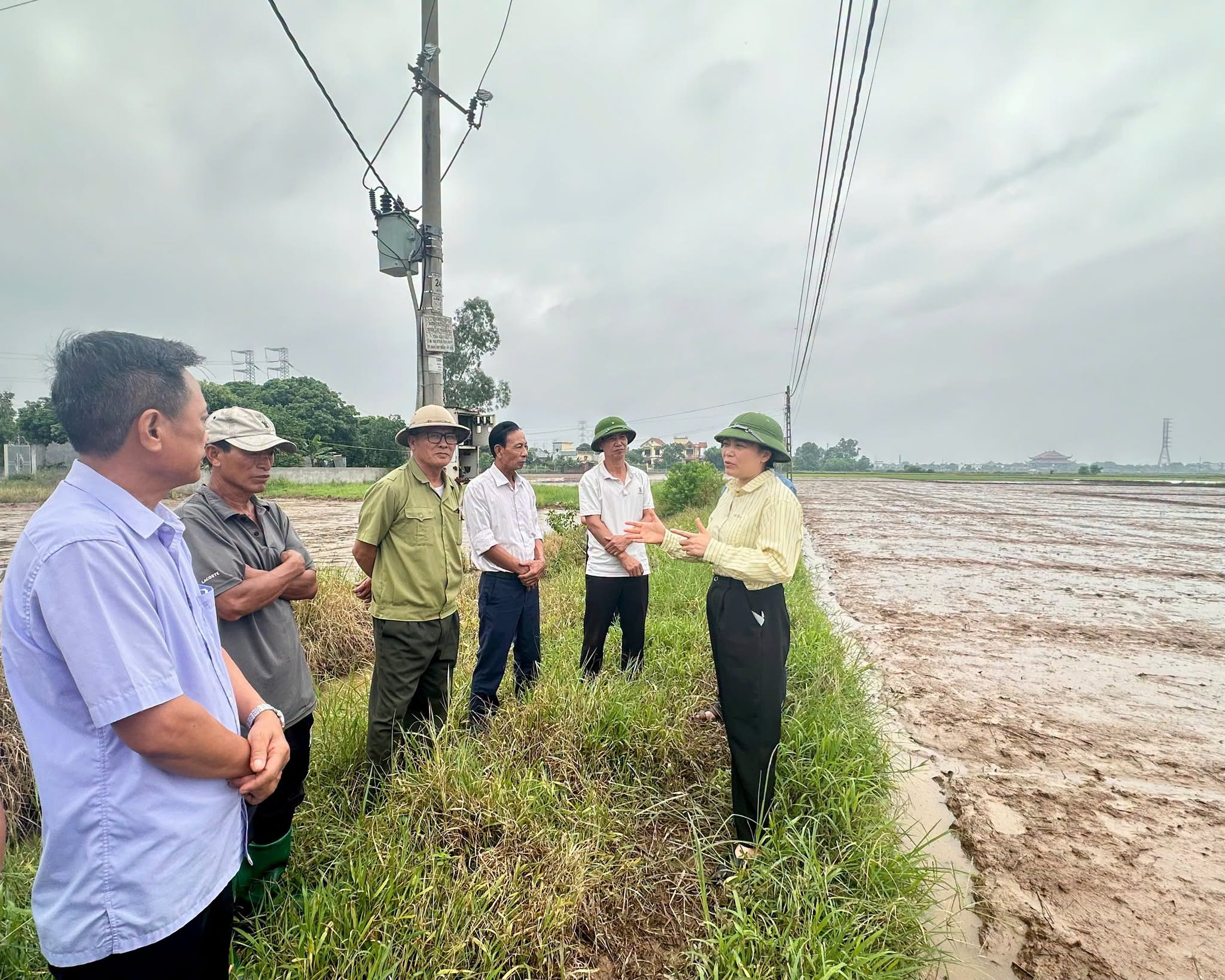 Đồng chí Bí thư Đảng ủy xã Vũ Thư kiểm tra đồng ruộng, chỉ đạo đẩy nhanh sản xuất vụ Mùa