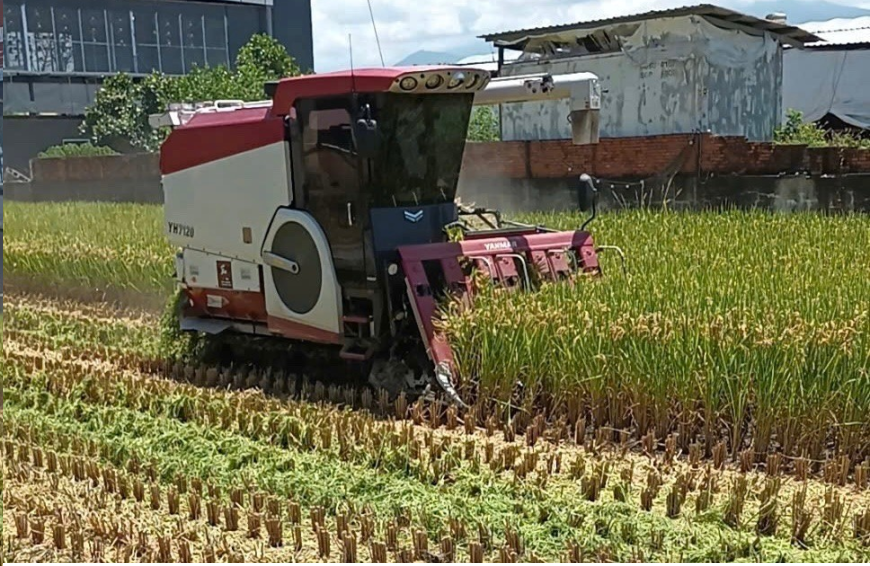Đẩy mạnh liên kết sản xuất – hướng đi hiệu quả của các Hợp tác xã nông nghiệp xã Vũ Thư
